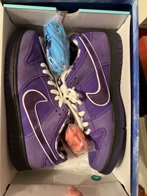 Size 10.5 - Concepts x Nike Dunk SB Special Box Low Purple Lobster