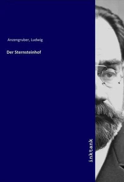 Ludwig Anzengruber | Der Sternsteinhof | Taschenbuch | Deutsch-image