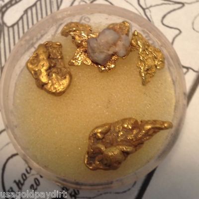 Gold Paydirt 2 lbs 100% Unsearched and Guaranteed Added GOLD! Panning Nuggets