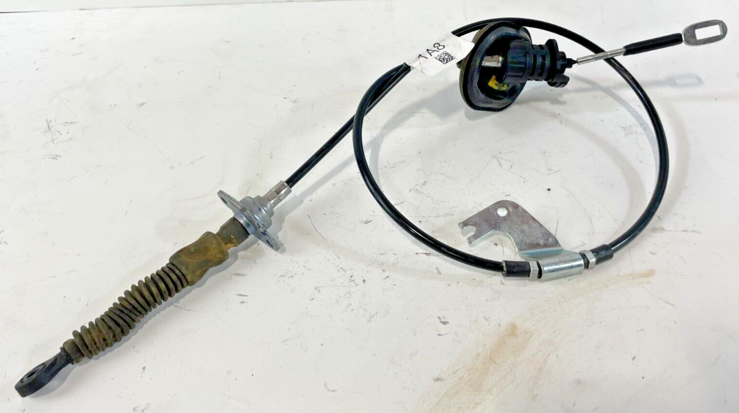 civicivi s-l1600.png