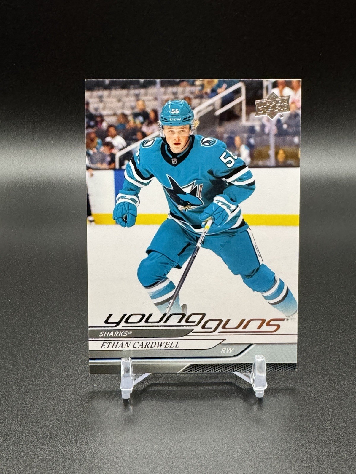 2024-25 Upper Deck Series 2 - Young Guns Rookie Ethan Cardwell #459 (RC) Sharks