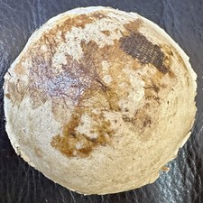 Antique German Kestner Plaster Pate 2 2708