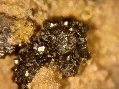 KENTROLITE - Big Chief Mine, Sierra County, NEW MEXICO