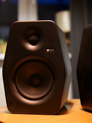 Monkey Banana Turbo 6 Studiomonitore (Paar) OVP