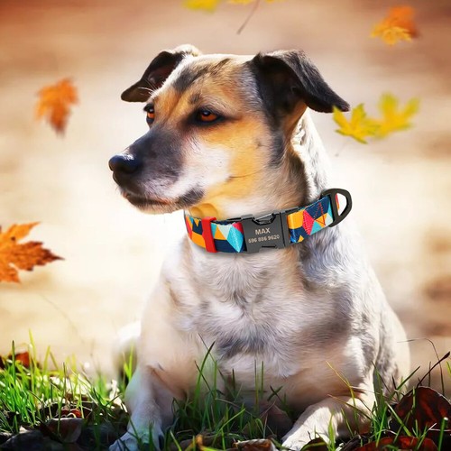 Personalized Print Nylon Dog Collar Engraved Name Adjustable for Small Large Dog - Picture 11 of 14