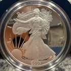 2007-W American Silver Eagle PROOF 1 Oz Silver - Coin & Box & COA 011833
