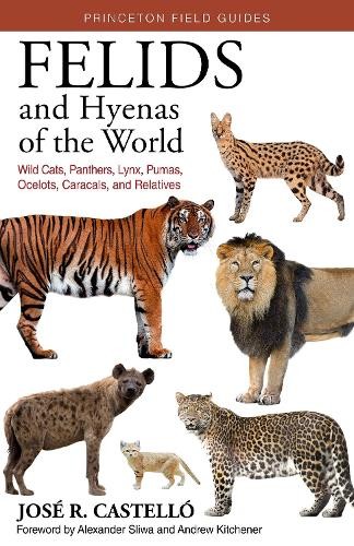 Felids and Hyenas of the World by Jos R. Castell, Andrew C.... - 9780691205977
