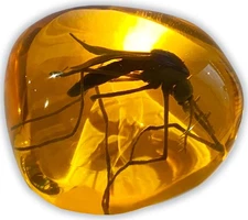 "Mosquito in Amber Fossil Replica – Resin Paperweight for History & Science Fans
