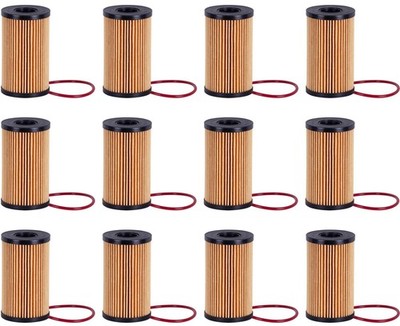 Engine Oil Filter for 18-22 Jaguar F-Type 12 Pack Shop Pack REF LRO 73669