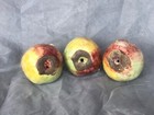 Bild 7 von 12