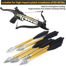 12pcs 6.3in Mini Crossbow Bolts Pistol Arrows Target Small Game Target Shooting