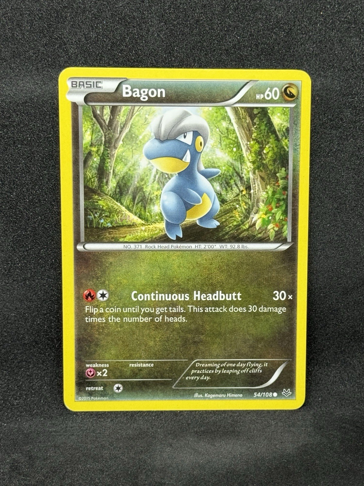 Bagon 54/108 XY Roaring Skies English Pokemon Card TCG HP