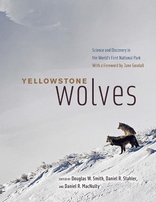 Yellowstone Wolves by Douglas W Smith, Daniel Stahler, Daniel... - 9780226728346