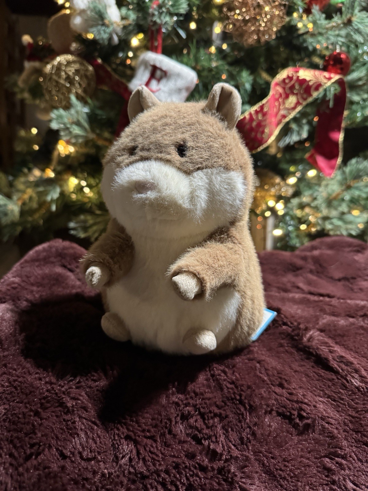 Jellycat Guinea Pig compagnon de sieste en peluche pour chambre enfant