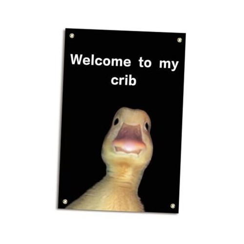 Duck Meme Flag 2x3 Ft Funny Flags for to My Crib " Teen