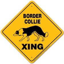 Border Collie Sign Aluminum 12 in X 12 in 20585