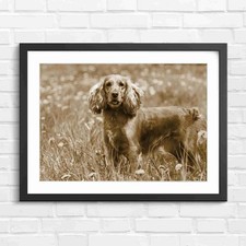 Cute Red Cocker Spaniel Dog Portrait in Field Sepia Framed Wall Art Print Large