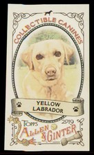 2019 Topps Allen & Ginter Yellow Labrador CC-15 Collectible Canines Minis