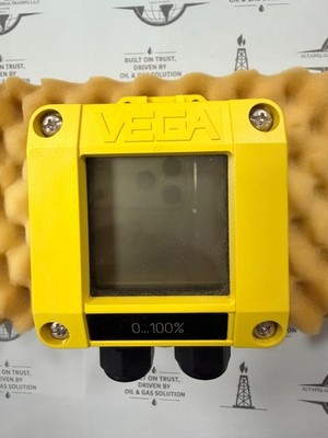 VEGA DIS 11 Digital Indicating Sensor DIS11.X