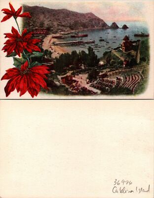 Catalina Island Full View Postcard Unused (36976)