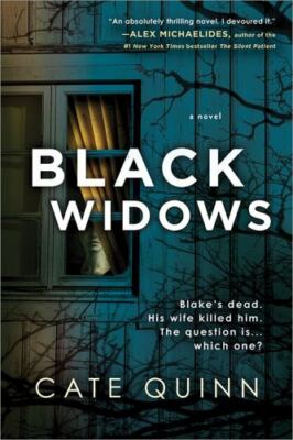 Black Widows  by Quinn, Cate Sourcebooks Landmark