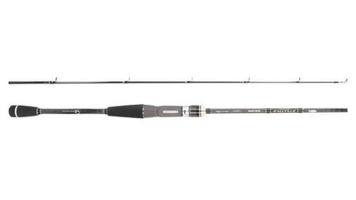 Barschrute Rapfenrute Baitcast Rute A Tec Crazee Bass Game C6102M