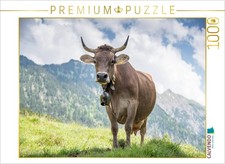 CALVENDO Puzzle Original Braunvieh  1000 Teile Lege-Gr  e 64  48 cm Foto-Puzzl