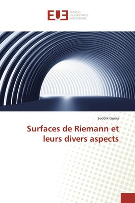 Surfaces de Riemann et leurs divers aspects Seddik Gmira Taschenbuch 120 S. 2016