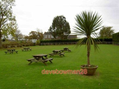 FOTO CHEQUERS INN BIERGARTEN UND PALME IM ''TROPISCHEN'' NORTH YORKSHIRE GESCHÄFTIG