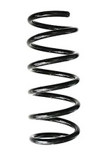 SPIDAN Fahrwerksfeder Hinterachse für FIAT