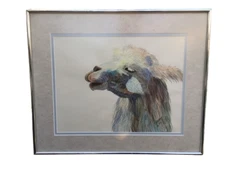 Beautiful Vintage Llama Painting Watercolor Framed Signed Original Animal Art