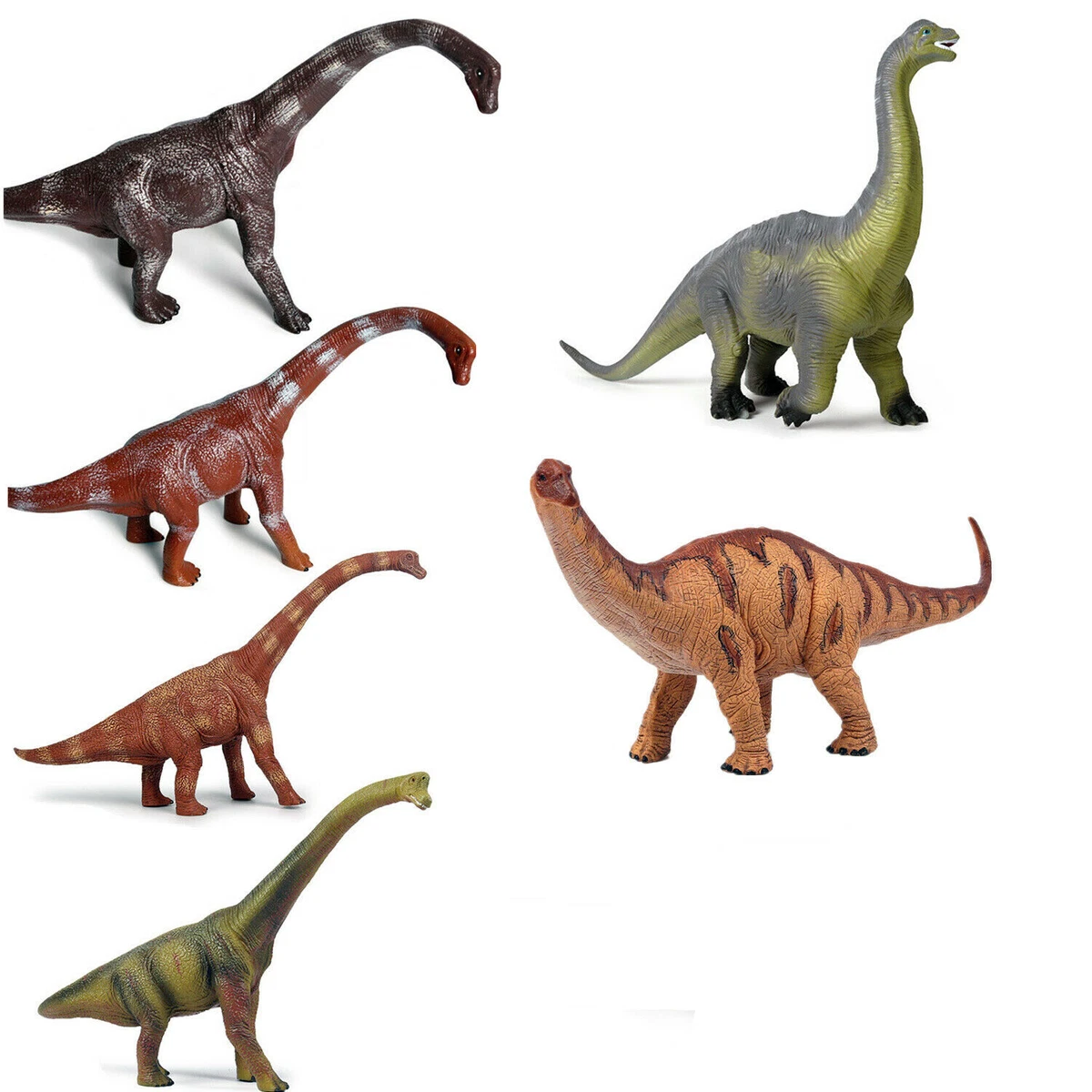 Brachiosaurus Vs Brontosaurus