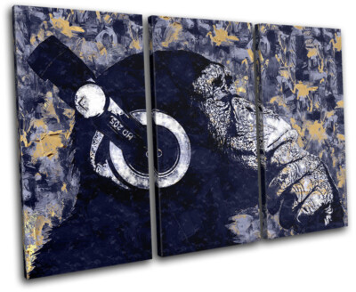 Chimp Monkey DJ Music Abstract Animals TREBLE Leinwand Kunst Bild drucken