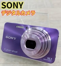 Good SONY Digital Camera Cyber-Shot DSC-W570/V