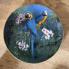 Blue & Gold Macaws Wedgewood Plate  Limited Edition Parrots Bird Lover 
