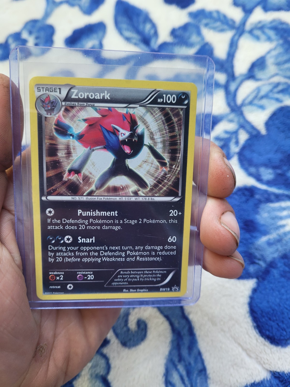 Zoroark BW19 Black Star Promo Holo Rare Black & White Pokemon Card 2011 LP