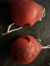 Zab Judah Autographed Mini Ringside Gloves. In Person Signed.