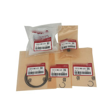 New Stock Piston Kit for Honda Rancher TRX350...