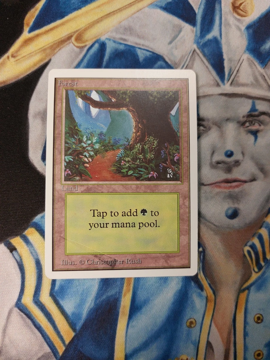 Land Magic: The Gathering Individual Trading Card Games Misprint