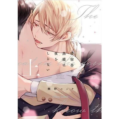 Black Cat Dormitory Novel Part 1 Japanese Version Very Good