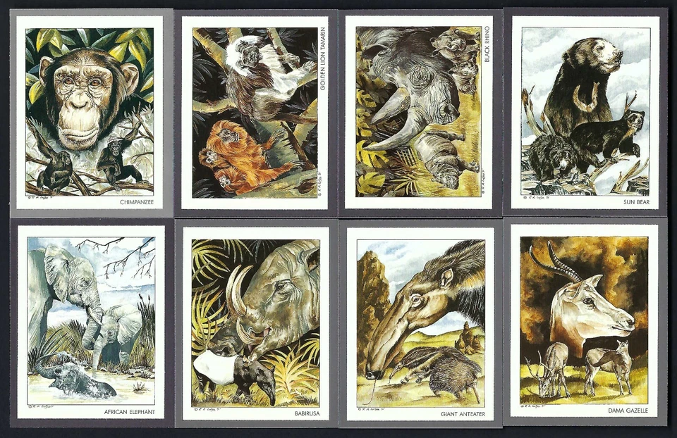 VICTORIA GALLERY - ENDANGERED WILD ANIMALS - FULL SET OF 20 CARDS - Image 2 of 4