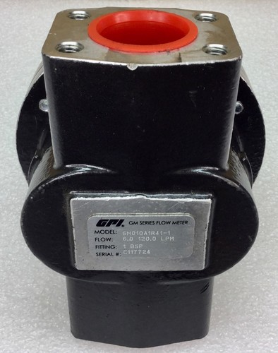 GPI  GM010A1R41-1 GM SERIES FLOW METER 120.0 LPM 1 BSP FITTING NEW NO BOX - Picture 5 of 5