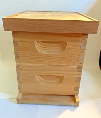 Mini Beehive Model Kit Wooden Display Educational 1:4 Scale Desktop Hive Art