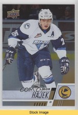 2017-18 Upper Deck CHL Rainbow Libor Hajek #165 READ o1h