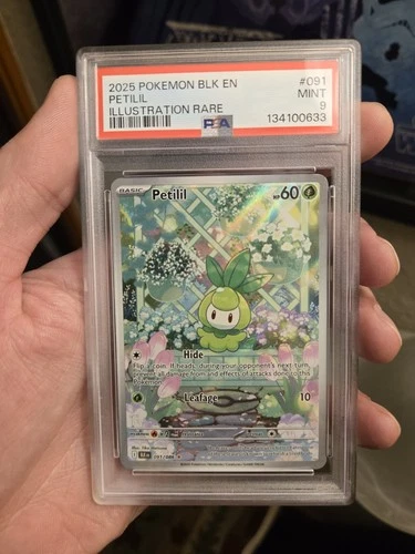 3 slab special PSA 9 PLIL 2025 Pokemon Black Bolt Petilil #91 PSA 9 CLEAN SLAB