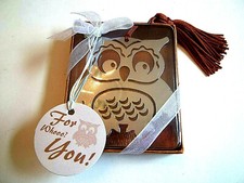 Metal Stainless Hanging Owl wTassel Ornament Gift Box Graduation Xmas CarCharm  