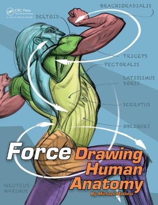 FORCE: Zeichnung der menschlichen Anatomie - 9781138731233