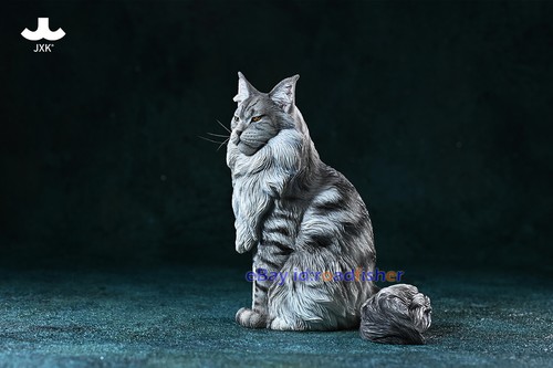 JXK 1/6 Maine Coon 2.0 Gato Modelo Mascota Figura Escena Decoración Colección Juguetes de Animales - Imagen 16 de 22