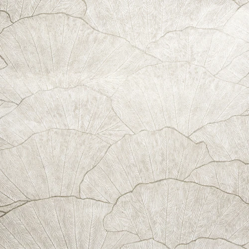 65004 - Feel Seashell Old White Hohenberger Wallpaper