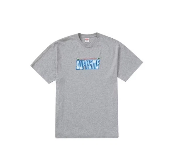 Supreme T Shirt ULTRA FRAIS taille L grande boîte gris gris comme neuf logo 2020 neuf dans son emballage d'origine nyc